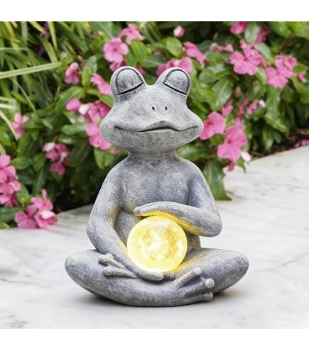 Amazon.com: InGenious Desk Top Zen Garden - Miniature Indoor